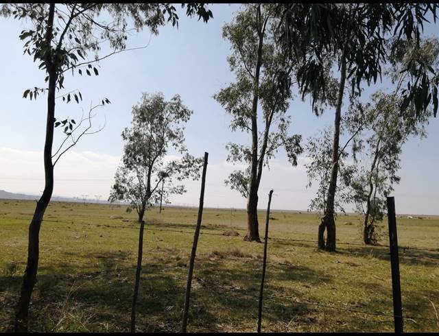 33HA FARM FOR SALE IN INGAGANE